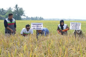 SIG dan Pemkab Cilacap Dorong Pertanian Berkelanjutan untuk Ketahanan Pangan