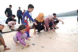 Puluhan Tukik Dilepasliarkan di Pulau Tabuhan Banyuwangi, Masyarakat Diajak Jaga Kelestarian Penyu