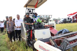 Gresik Dukung Swasembada Pangan: Wabup Alif Pimpin Panen Raya Serentak di Driyorejo