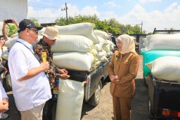 Jatim Catat Panen Raya Serentak di 37 Daerah, Gubernur Khofifah Tegaskan Komitmen Jaga Lumbung Pangan Nasional