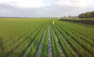 Pemkab Bojonegoro Ajukan Penambahan Alokasi Pupuk Subsidi 2025 ke Kementan