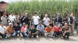 Komisaris SGN Apresiasi Sinergi Petani dan PG Gempolkrep Capai Swasembada Gula Nasional