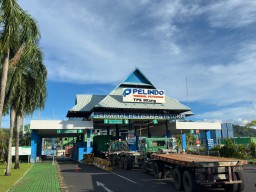 Pasca Robohnya RTG, Pelindo Petikemas Pastikan Operasional TPK Bitung Tetap Berjalan