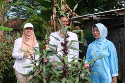 Kelompok Tani Binaan Pertamina EP Sukowati Field Gelar Panen Padi Organik Bersama Bupati Bojonegoro
