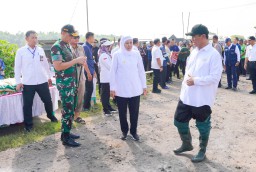 Tinjau Pabrik Beras di Ngawi, Gubernur Khofifah Tunjukkan Keunggulan Produktivitas Padi Ngawi
