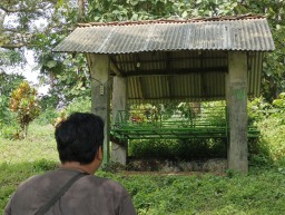 Viral Video Keranda Bergoyang di Jember Bikin Warga Resah, Polisi Lakukan Penyelidikan