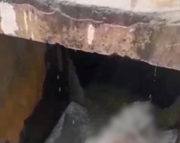 Tragis, Bocah 9 Tahun di Sampang Tewas Tenggelam