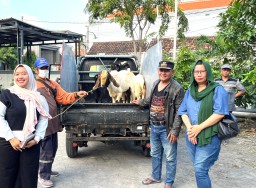 Iconland Pererat Silaturahmi Lewat Program Kurban Menjelang Idul Adha 1446 H