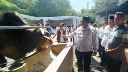 Jelang Idul Adha, Bupati Jombang Sidak Pasar Hewan: Sapi Presiden Prabowo Dinyatakan Sehat dan Layak Kurban