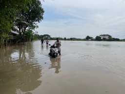 13 Titik di Jombang Terendam Banjir, Sungai Akan Dinormalisasi untuk Cegah Banjir Tahunan
