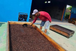 RB Rembang SIG Sukses Antarkan Kopi Lelet Pandawa Tembus Pasar Nasional