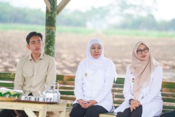 Jatim Siap Wujudkan Swasembada Gula Nasional dengan Kontribusi 51,87 Persen Produksi Gula