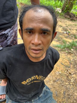 Buron Setahun, Otak Pembunuhan Ibu Rumah Tangga di Gresik Ditangkap di Kebun Sawit Kalimantan