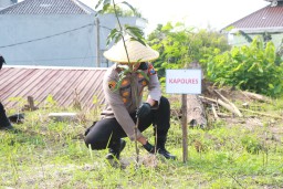Polres Gresik Dorong Kemandirian Pangan Lewat Aksi Tanam Jagung Serentak di Randu Agung