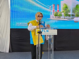 Pertama Kali di Indonesia, Limbah Sawit Jadi Listrik: Kado Spesial PLN untuk HUT ke-80 RI