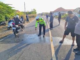 Tragedi di Jalur Lintas Selatan Jember - Lumajang: Tossa Tabrak Truk, 4 Tewas dan 6 Luka