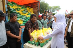 Gubernur Khofifah Gelar Pasar Murah di Pasuruan: Kendalikan Inflasi, Jaga Daya Beli, dan Perkuat Ketahanan Pangan