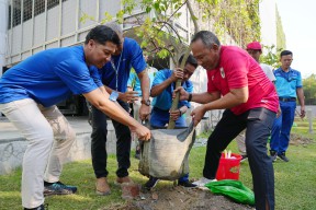 Pelindo Petikemas Tanam Seribu Pohon di Seluruh Area Kerja