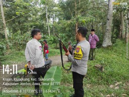 Ustad Hingga Anak-anak Terluka Akibat Serangan Monyet di Jember