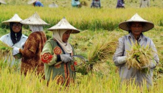 Pemkab Sumenep Siapkan Strategi Khusus, Bumdes Pangan Diharapkan Jadi Penggerak Ekonomi Desa