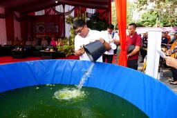 Petrokimia Gresik Luncurkan 80 Kolam Lele di 80 Desa, Dorong Ekosistem Budidaya dan Ketahanan Pangan