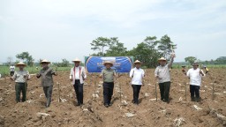 Ditjenbun RI Tinjau Kebun Bongkar Ratoon PT SGN: Perkuat Swasembada Gula dan Kawasan Tebu 2025