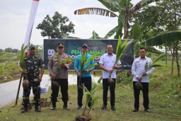Lapas Bojonegoro Tanam Ratusan Bibit Kelapa untuk Pelestarian Lingkungan dan Pemberdayaan Warga Binaan