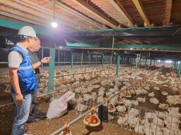 Tarif Listrik Tetap, Pemerintah Jaga Daya Beli Masyarakat Hingga Akhir 2025