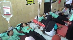 9 Ribu Lebih Siswa Keracunan Menu MBG, RCCE Minta BGN Perbaiki Tata Kelola