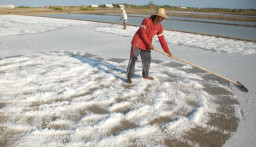 Petani Garam Sumenep Pasrah dengan Anomali Cuaca dan Harga Jual