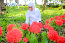 Gubernur Khofifah Kagumi Pesona Bunga Desember, Flora Langka Kebanggaan Bondowoso Mekar Lebih Semarak
