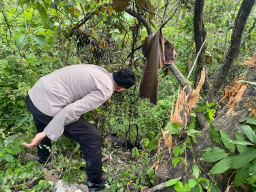 Motor Nyebur Jurang dan Terbakar di Jalur Temayang–Nganjuk