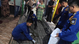 Ular Masuk Rumah Warga Dominasi Laporan Rescue Damkar Gresik di Awal November 2025