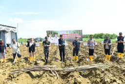 Lamongan Komitmen Wujudkan Swasembada Gula Melalui Program Strategis Bongkar Ratoon