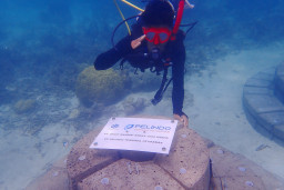 Pelindo Petikemas Hadirkan Terumbu Buatan APR, Perkuat Wisata Bahari Berkelanjutan Karimunjawa