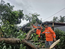 Angin Kencang Rusak 76 Rumah di Kecamatan  Semanding Tuban