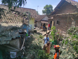 Angin Kencang Terjang Jember, Tujuh Orang Luka di Lima Kecamatan
