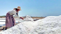Cuaca Tak Bersahabat, Produksi Garam Sampang Anjlok Jauh dari Target