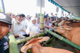 Tekan PMK Sejak Dini, Pemprov Jatim Distribusikan 453 Ribu Vaksin ke 38 Daerah
