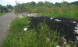 Buang Limbah di Tanah Negara, DLH Gresik Periksa Perusahaan Kayu di Kecamatan Kebomas