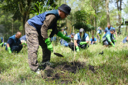 TPS Tanam 120 Bibit Pinus di Coban Talun, Perkuat Komitmen Pelestarian Lingkungan