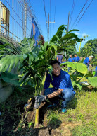 Penghijauan Lapangan Penumpukan Petikemas, TPK Berlian Tegaskan Komitmen Green Port