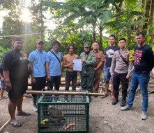 Balita di Mayang Digigit Monyet Peliharaan, Satwa Diserahkan ke BKSDA Jember