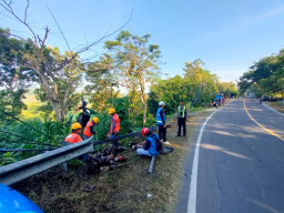 Truk Tronton Mundur di Tanjakan Margomulyo Bojonegoro, Tiang Listrik Roboh