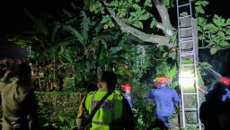 Nahas! Pria Nganjuk Tewas Tersengat Listrik Saat Tebang Pohon Sukun di Bojonegoro