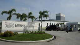 Ada Lowongan PT Nestle, Simak Formasi dan Syaratnya