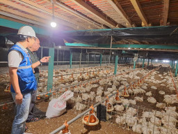 Pemerintah Putuskan Tarif Listrik Triwulan II 2026 Tidak Naik, PLN Siap Jaga Keandalan Layanan