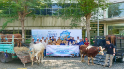 Perkuat Hubungan Sosial di Momen Iduladha, Terminal Teluk Lamong Salurkan 12 Sapi dan 21 Kambing untuk Warga Sekitar