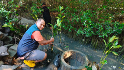 TPS Salurkan 3.000 Bibit Mangrove untuk Rehabilitasi Pesisir Sontoh Laut Surabaya