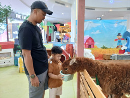 Libur Iduladha, Little Farm di Icon Mall Gresik Jadi Magnet Wisata Edukasi Keluarga